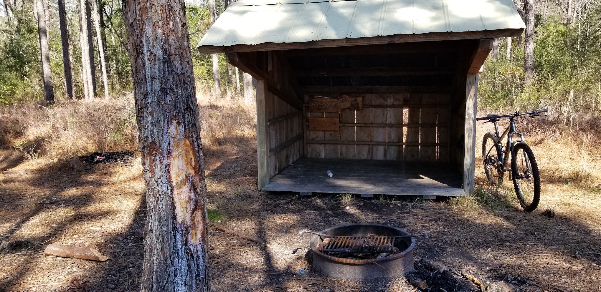 Oyster Point Campground