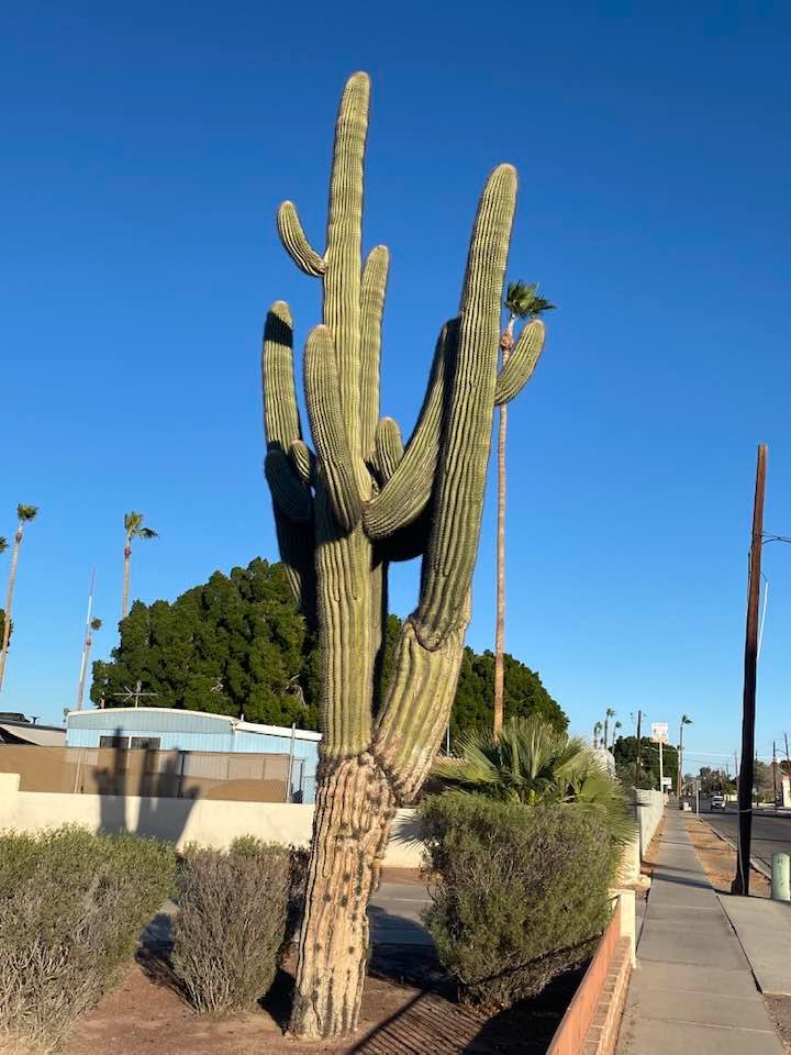 Lazy S Roadrunner RV Parks