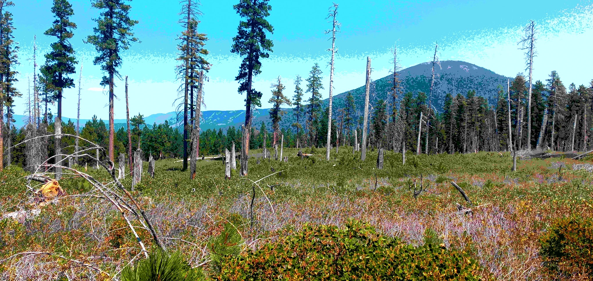 Deschutes NF-Sisters-Metolius Area