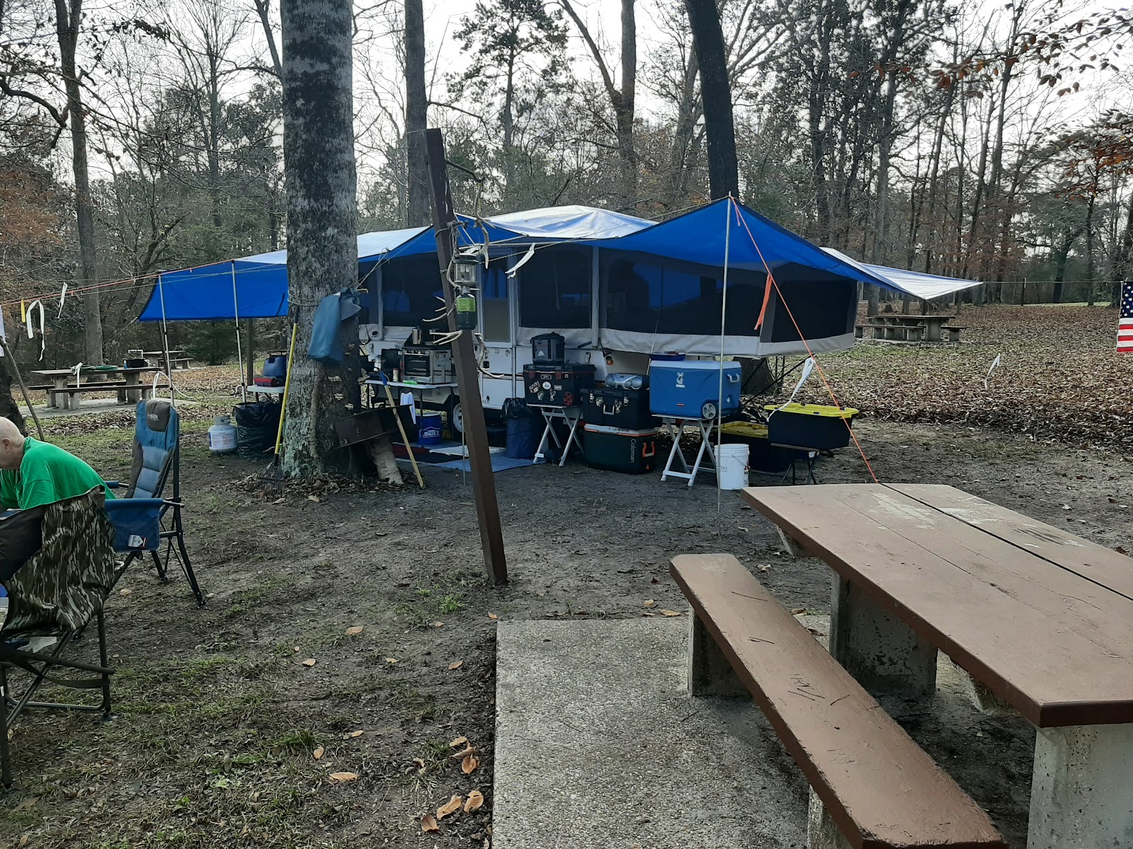 Willow Oak Campground - Sabine National Forest