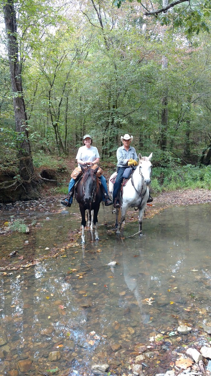 Bar Fifty Guest Ranch Pavilion
