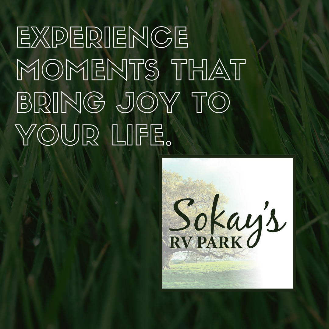 Sokay's RV Park