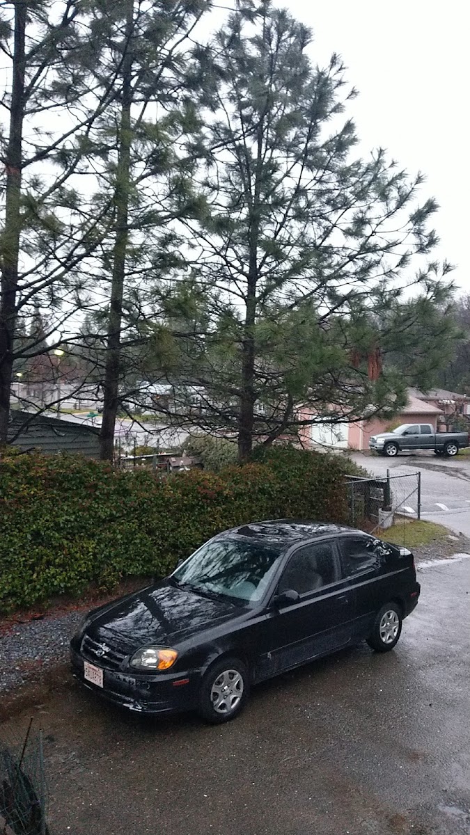 Crystal Caves Mobile Home Park