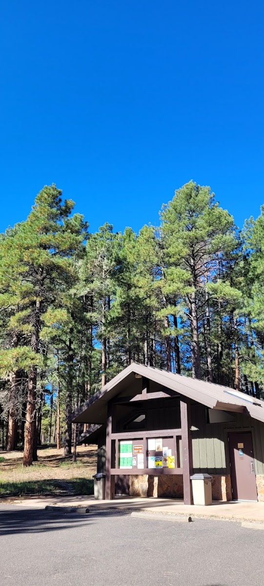 Lakeview campground view point