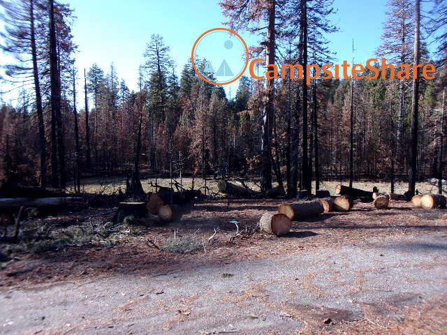 Three Prong Campground