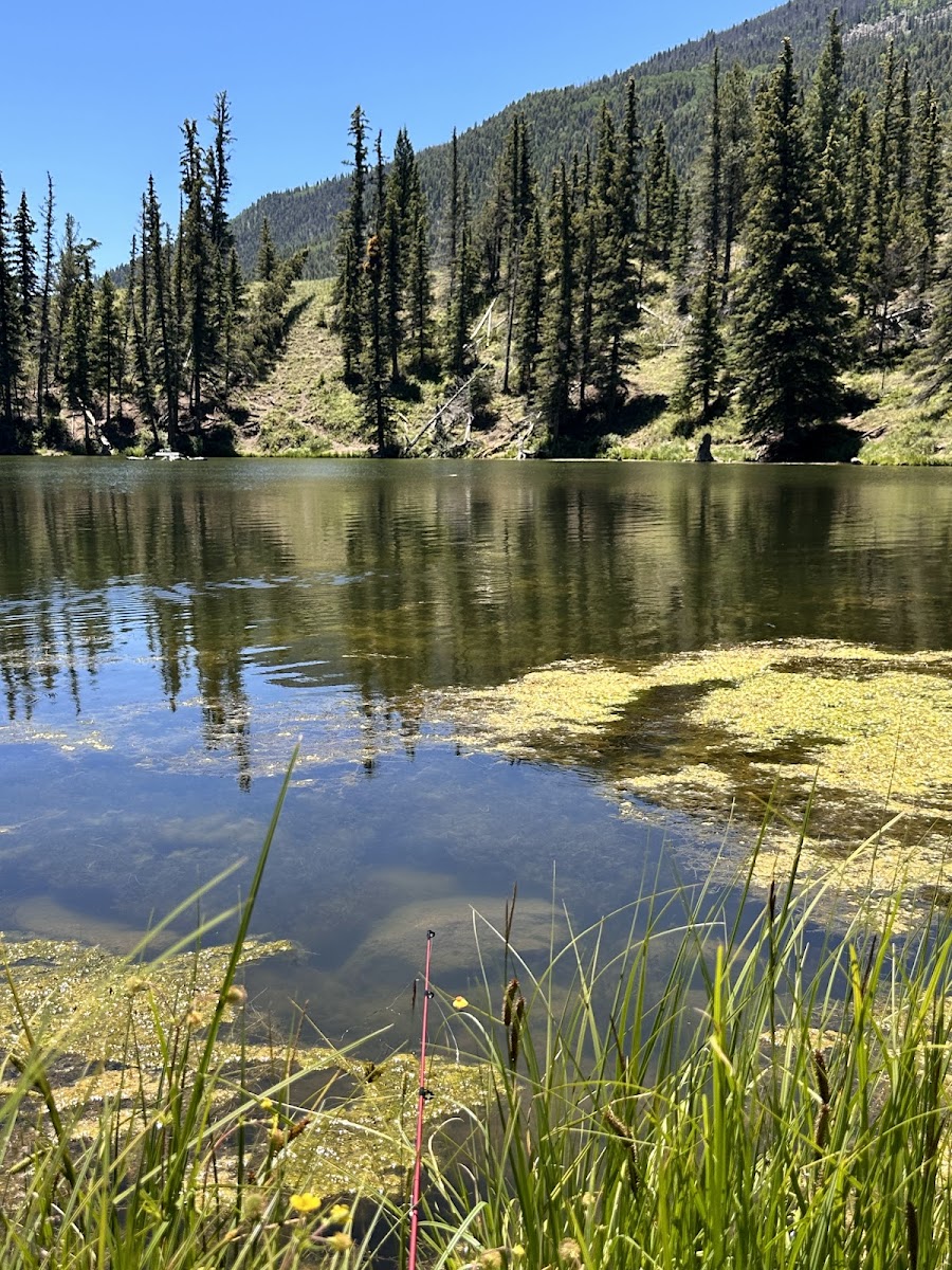 Spectacle Lake Fishing Site