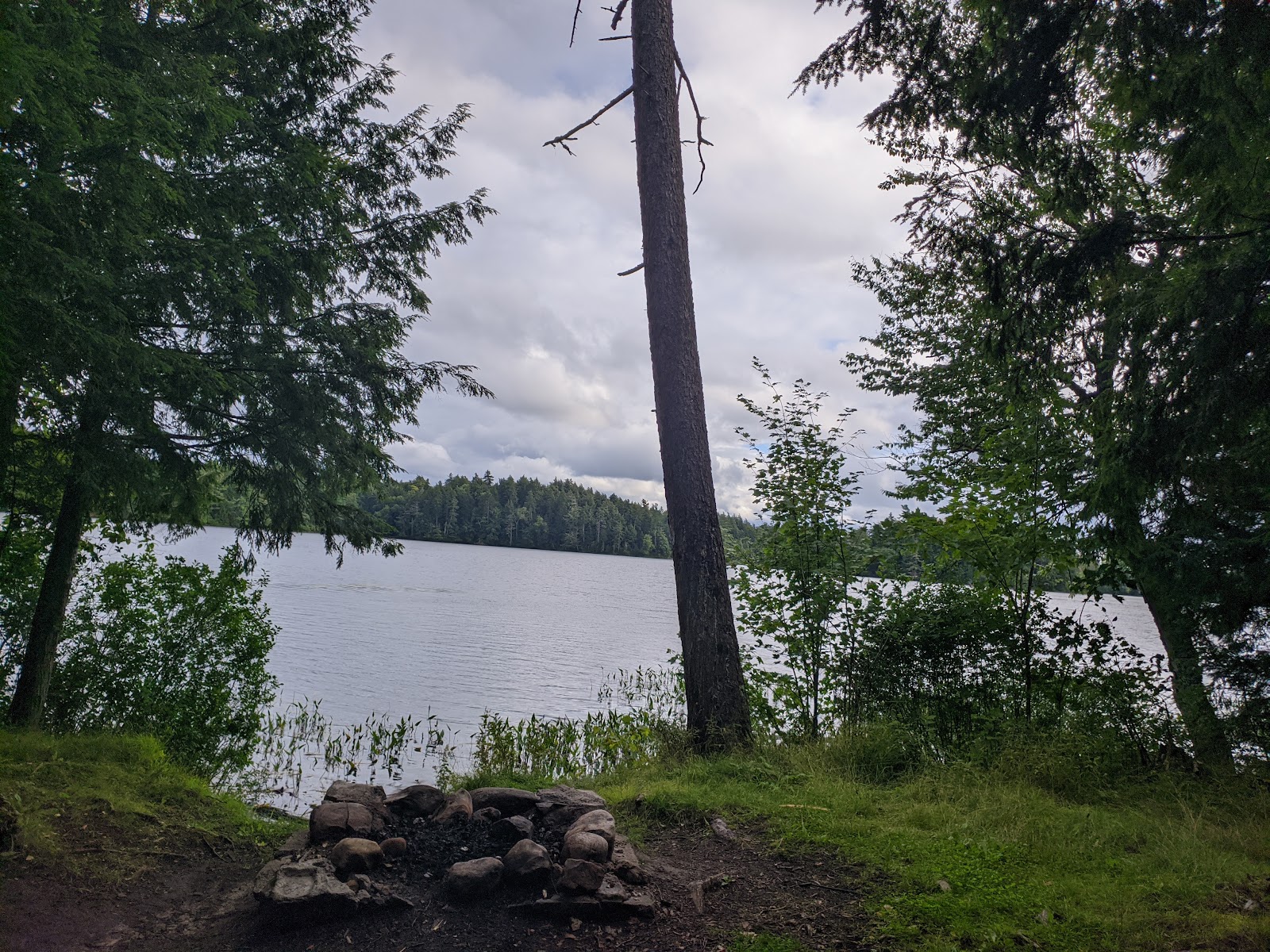 NYS Forest Campground