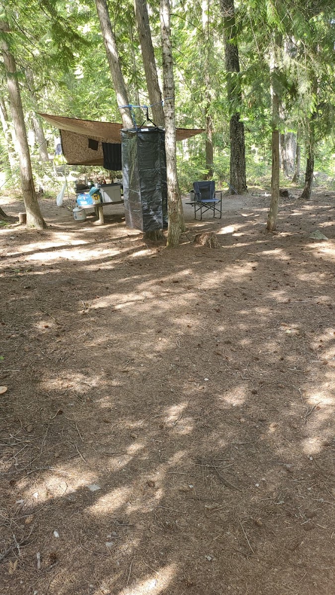 Priest Lake osprey campground site 5