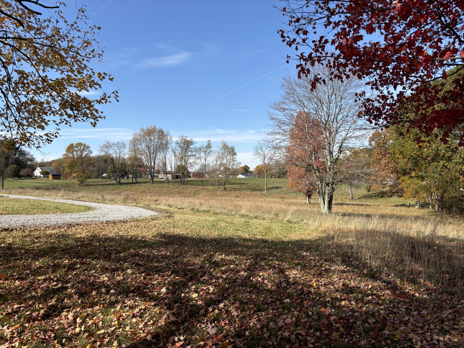 Starry Fields RV Park