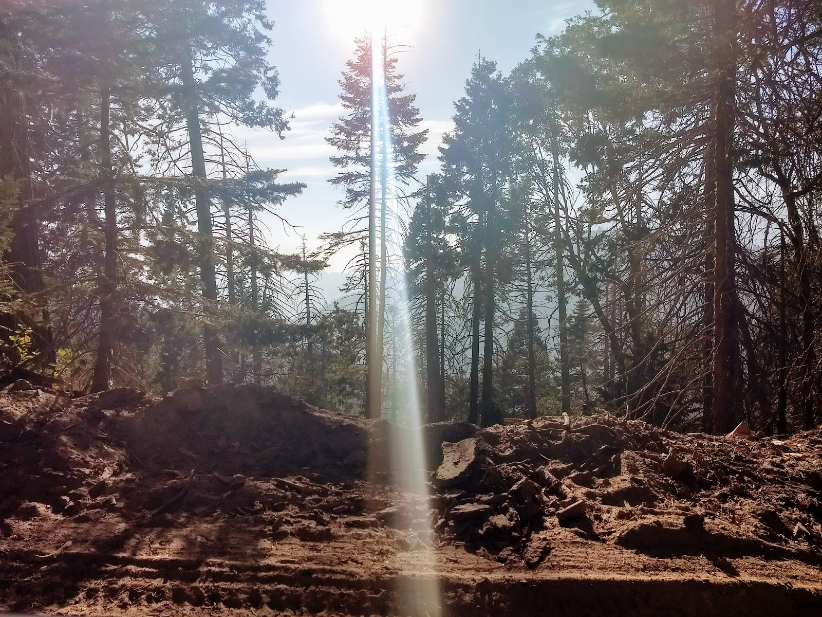 Frog Meadow Campground