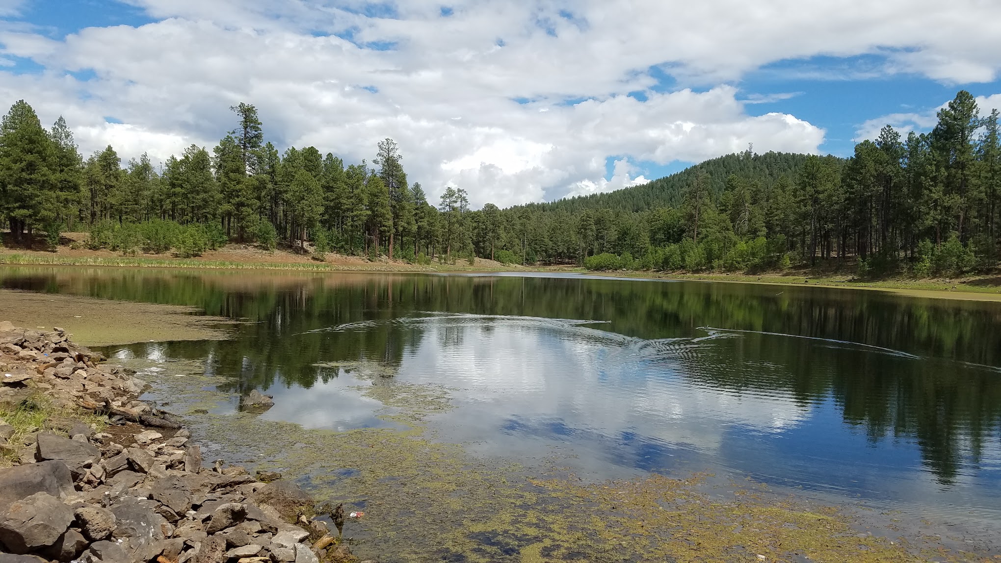 Cooley Lake Campground