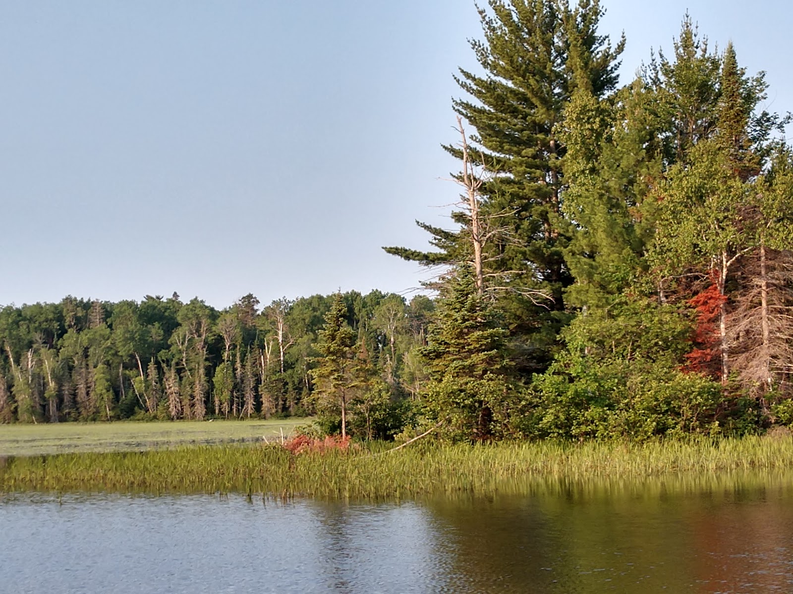 Island Lake Campsite