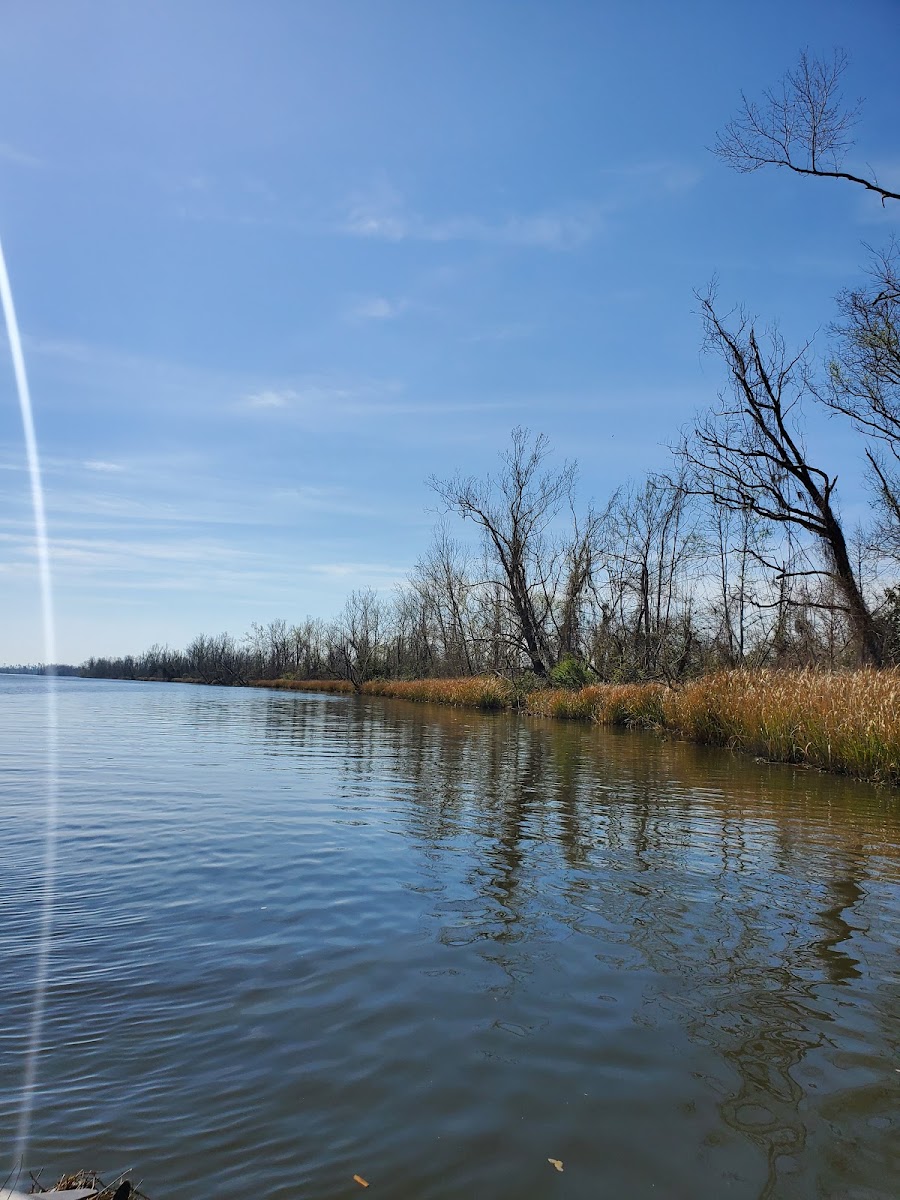 Butlers Ferry (Trails End Marina) (recgovnpsdata)