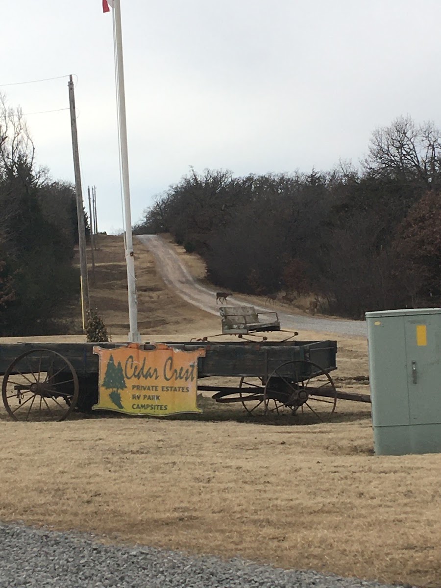 Cedar Crest RV Park
