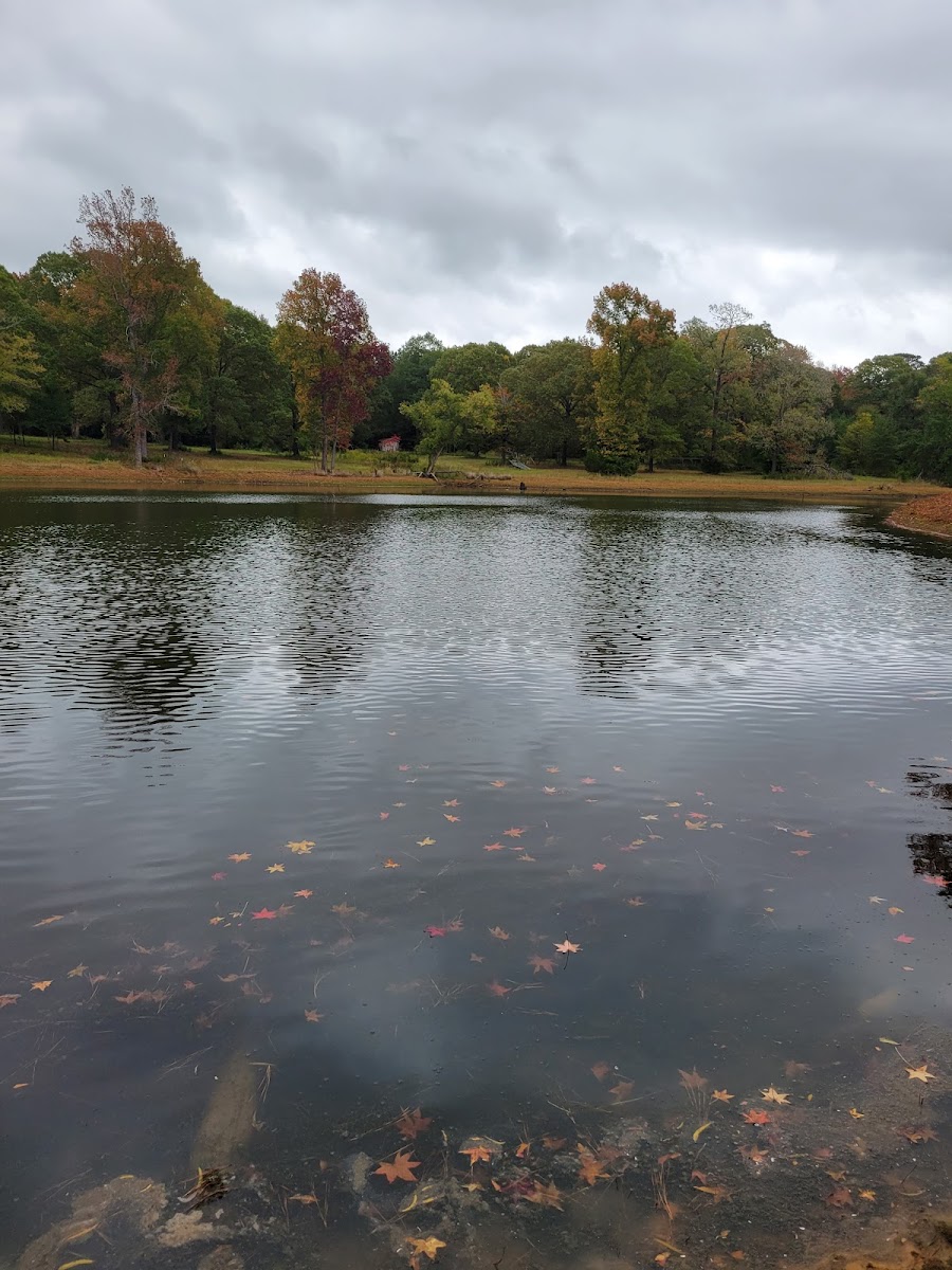 Natures Paradise RV Community