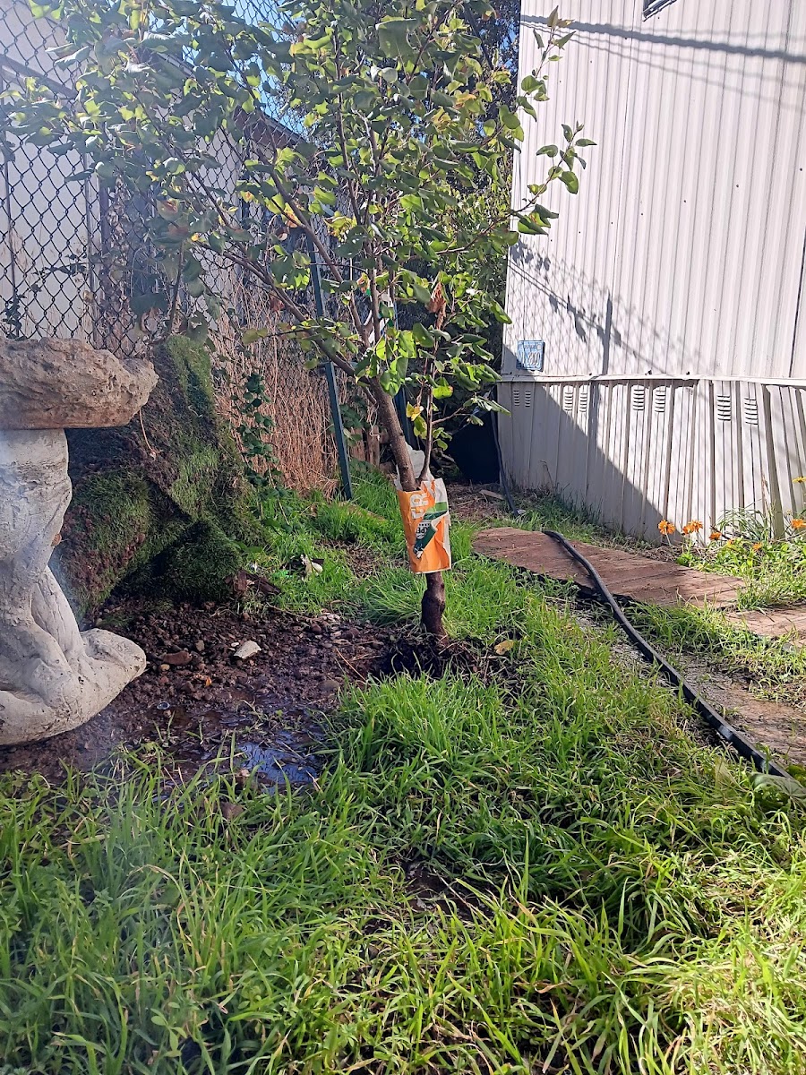 Kingfisher Mobile Home Park