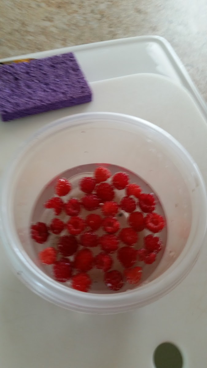 Lake Cameron RV Park and Campground