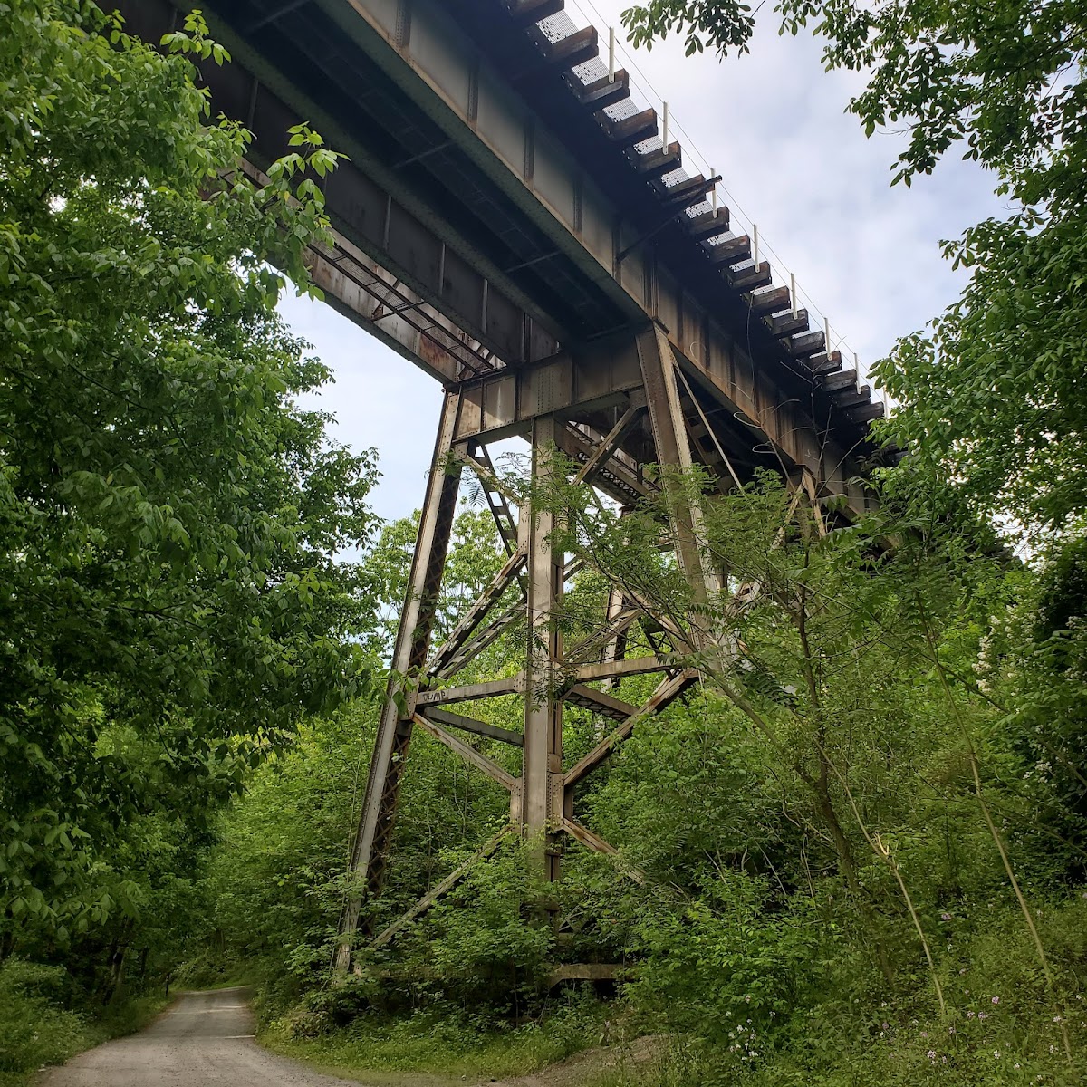 McCoys Ferry Campground