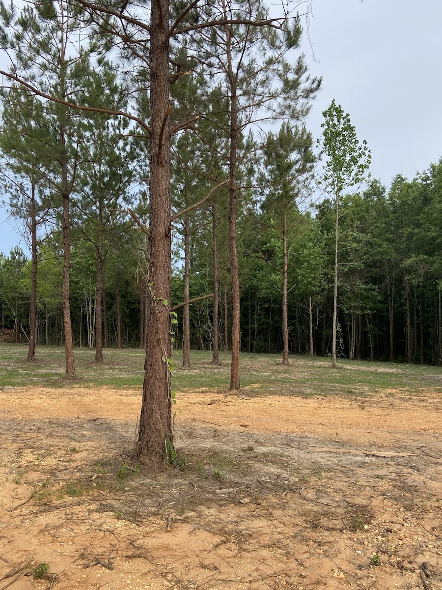 Hidden Ridge RV Park