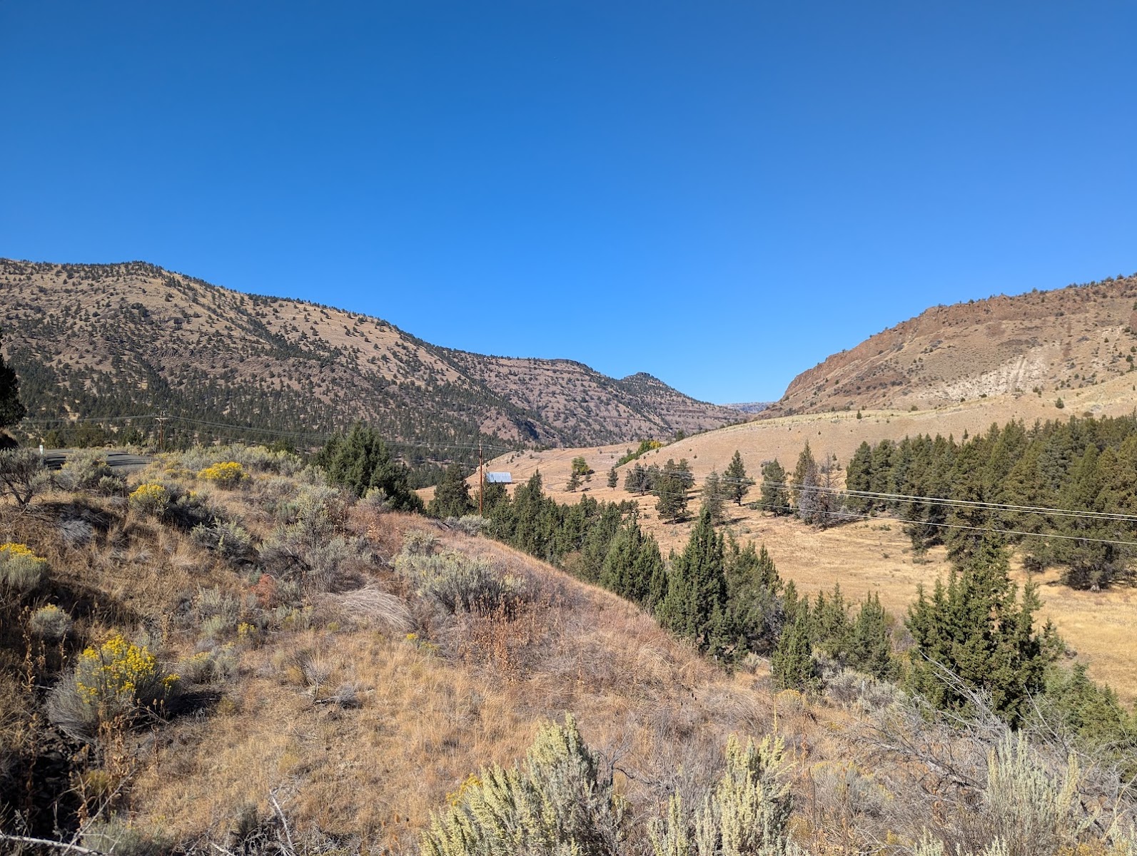 Ochoco Forest Camp and Pavilion