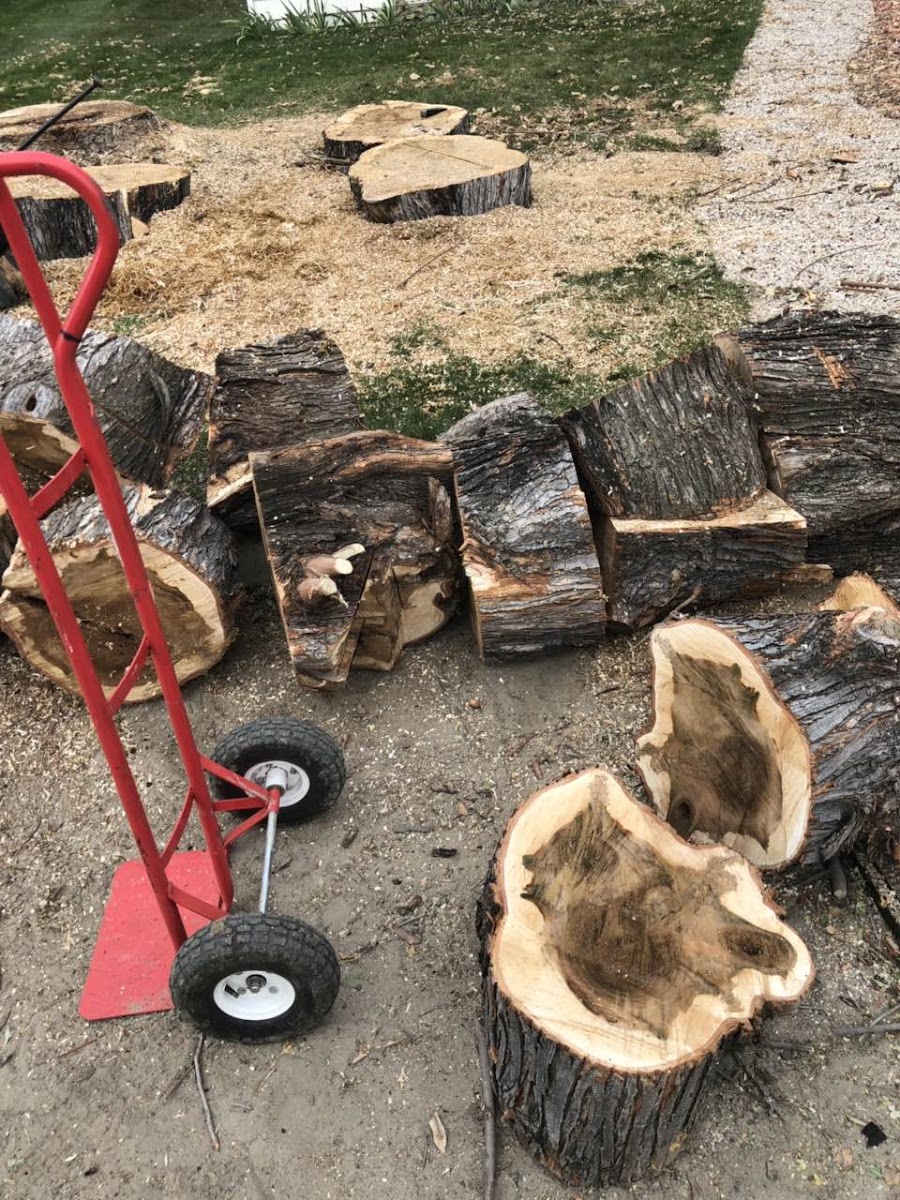 Basin Cr Dispersed Campground