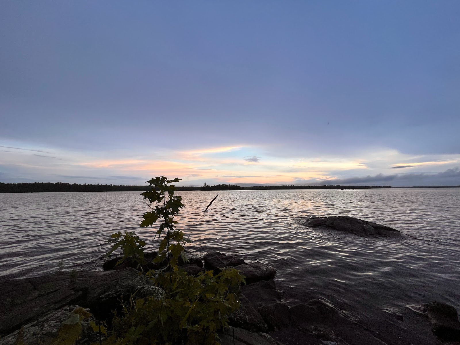 Wood duck campground K36
