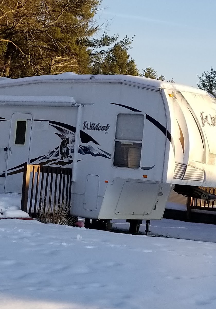 Silver Springs Campground