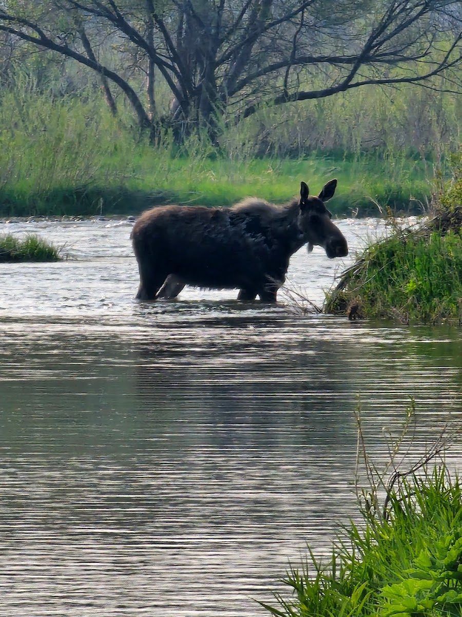 Valley Garden Campground