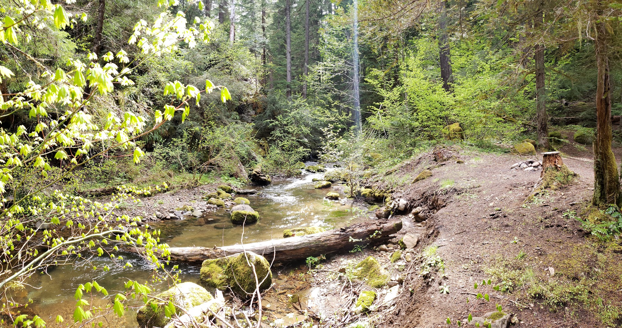 Camas Creek Campground