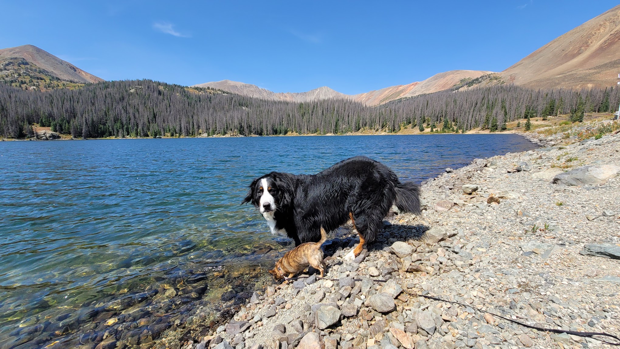 North Fork Campground