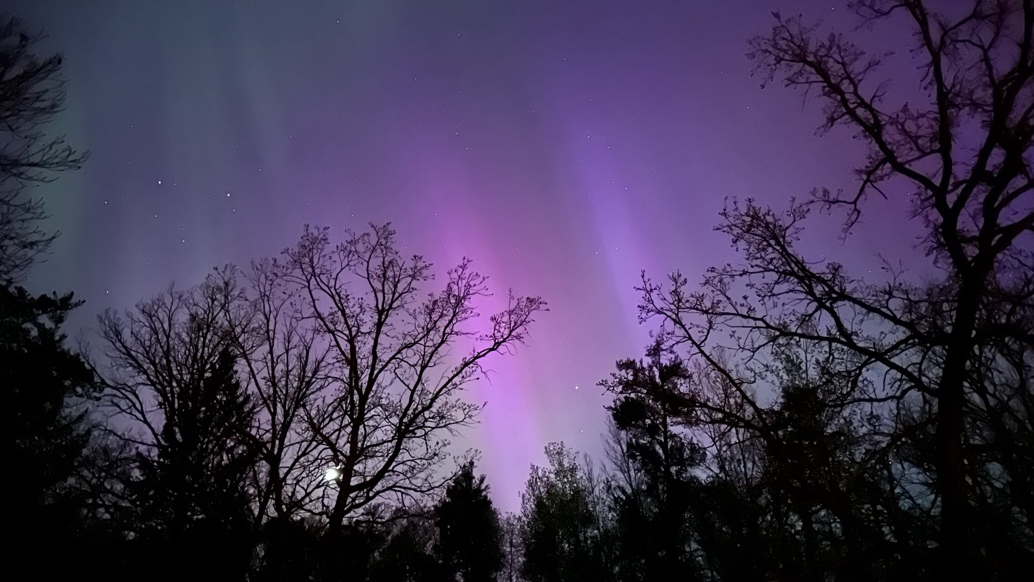 Tree Farm Campground