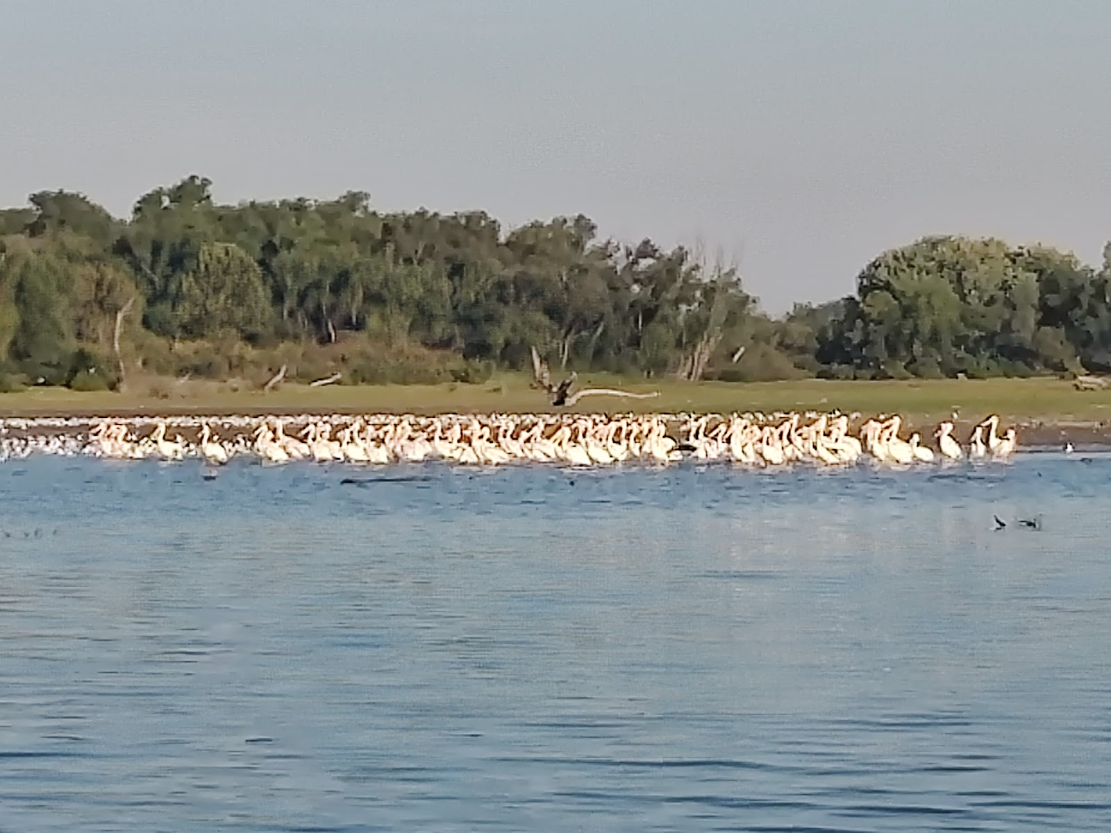Cedar Park Campground