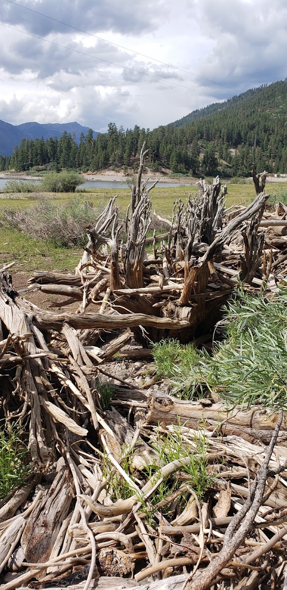 Pine Point Campground