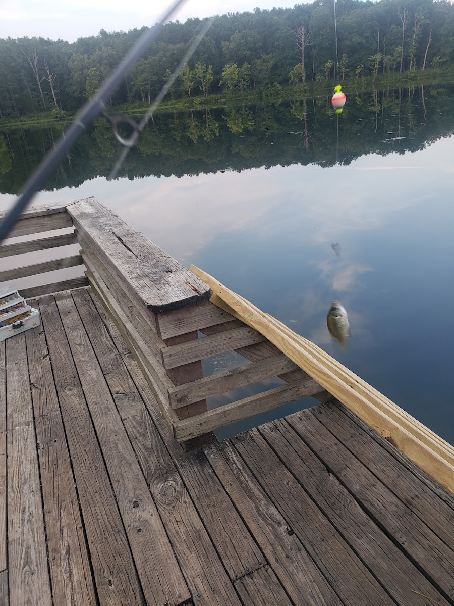 Fourche Lake Recreation Area, Mark Twain National Forest