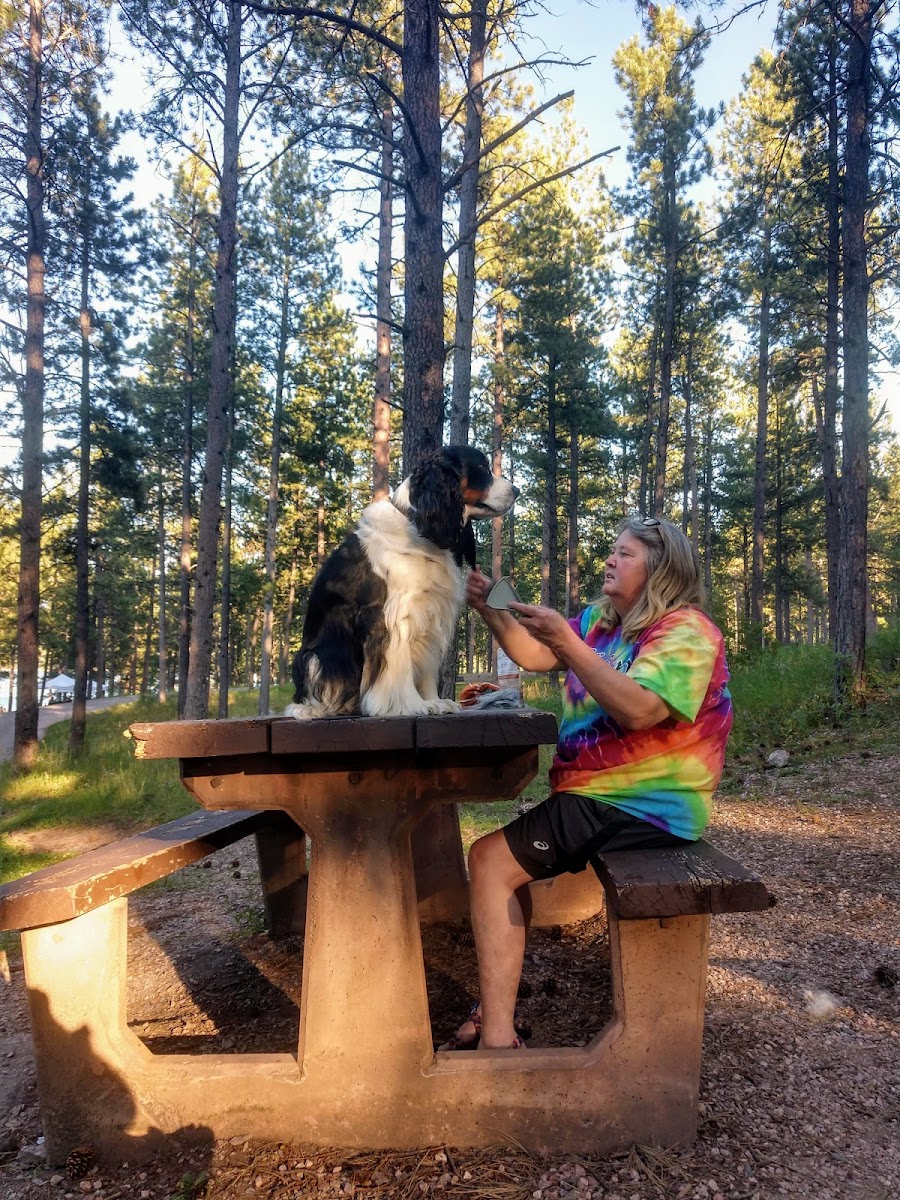 Pactola Reservoir Campground