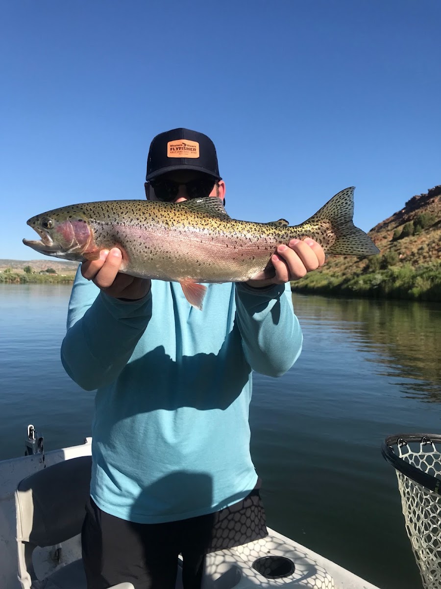 Windy Waters RV Park - Eagle Creek