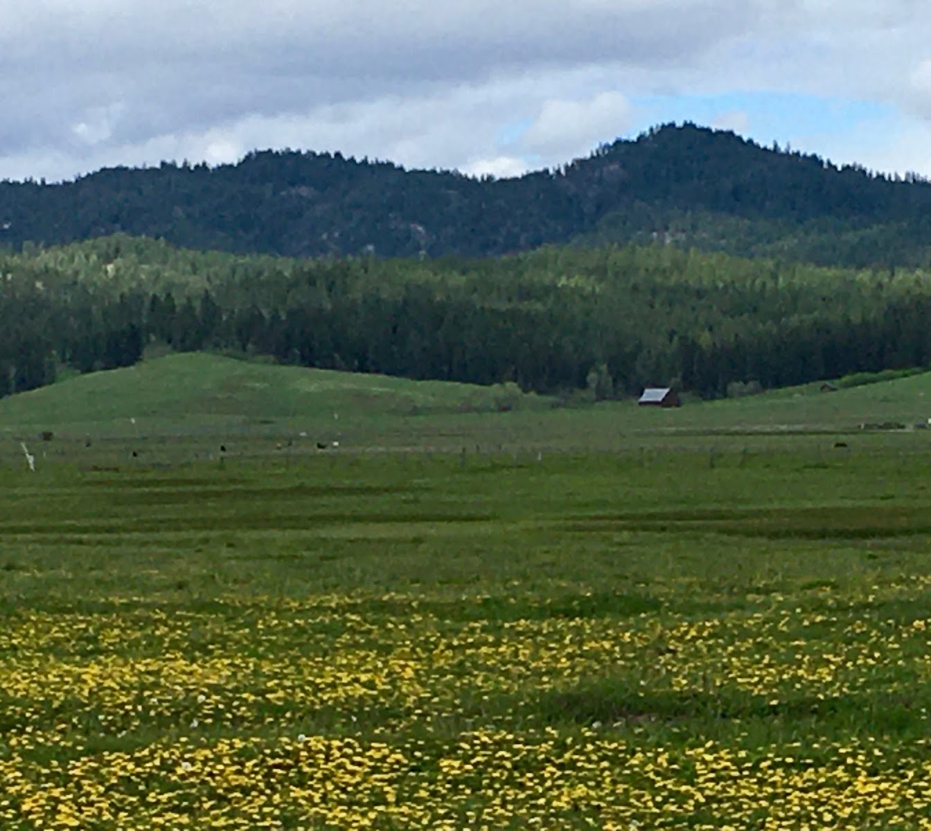 The Ranch in Donnelly