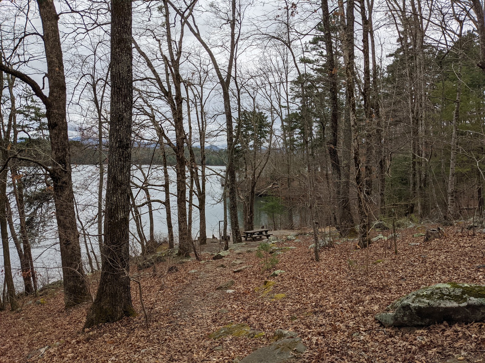 Forest Service Campsite P8