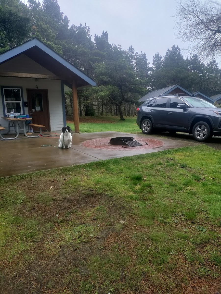 Twin Harbors State Park Campground