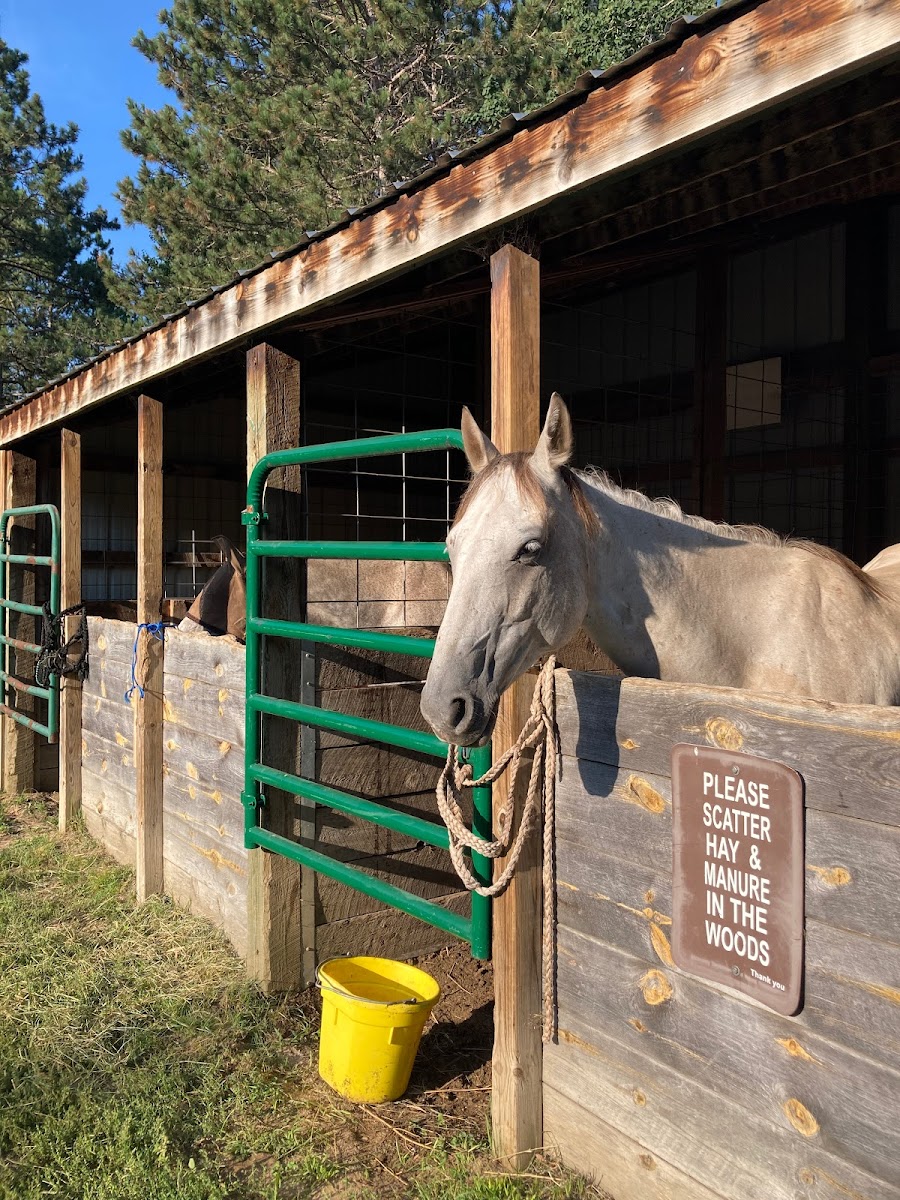 Shell City Horse Camp