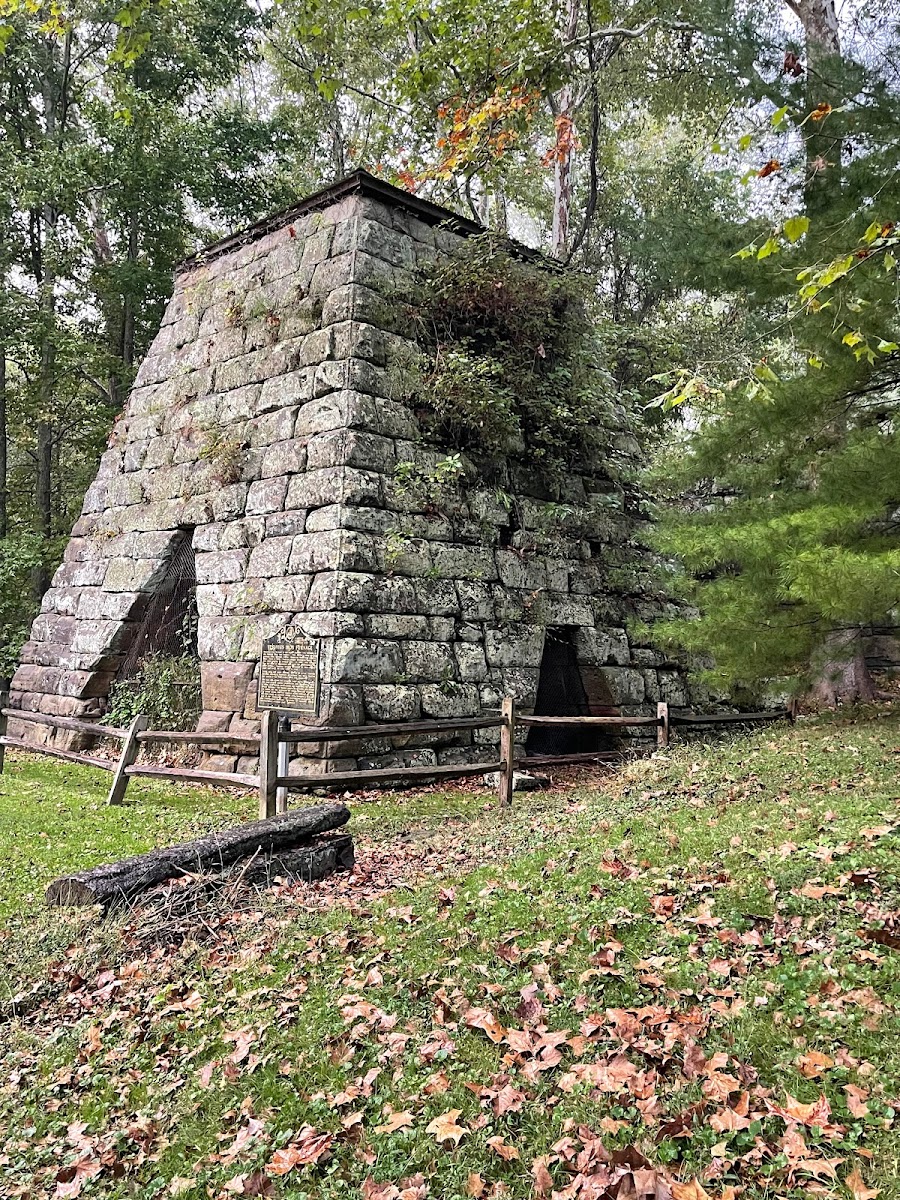 Lake Vesuvius Picnic Areas - Furnace Shelter