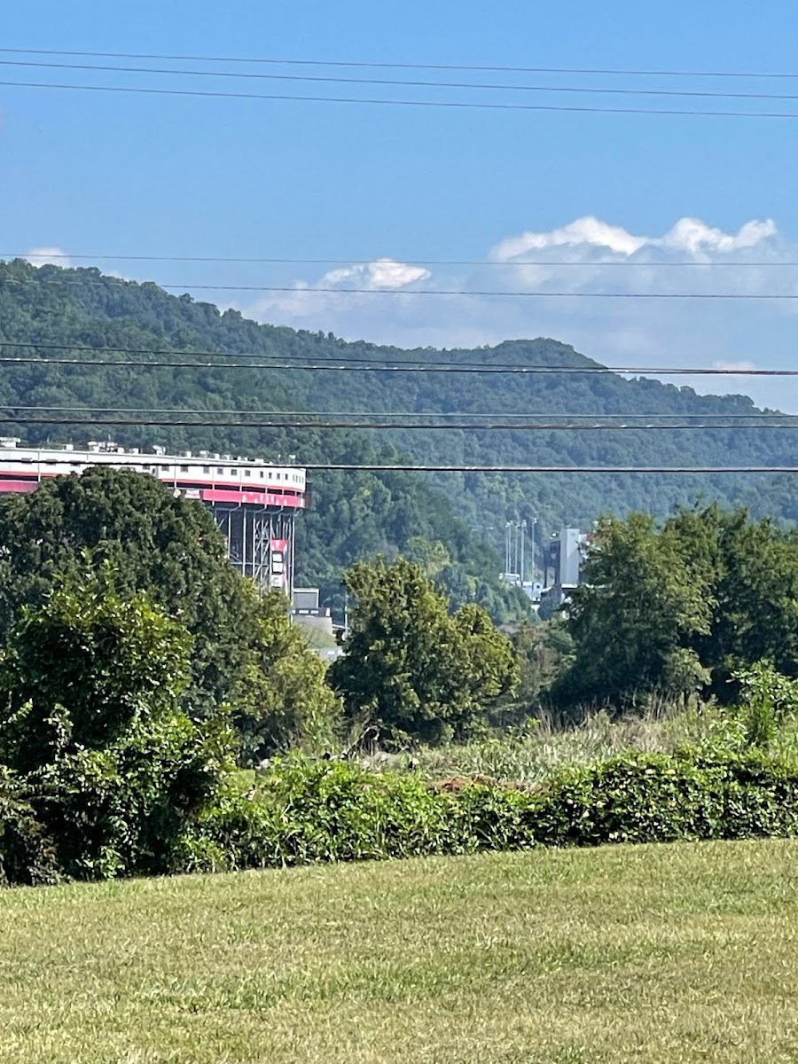 Happy Camper & Parking