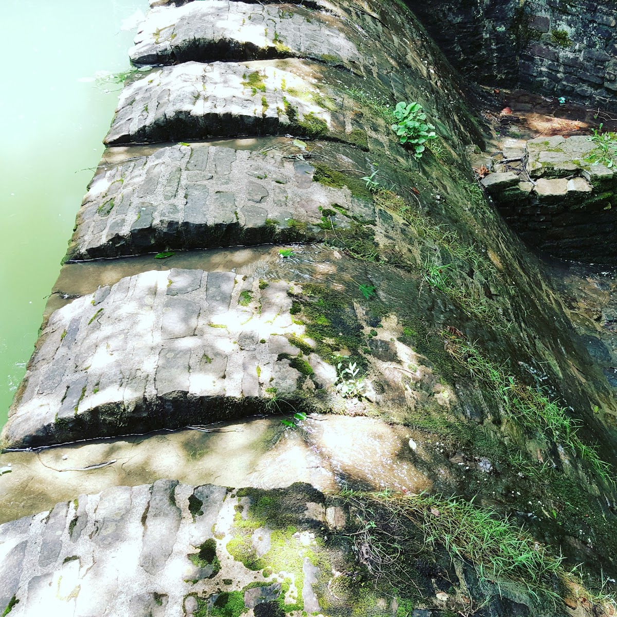 US Forestry Department