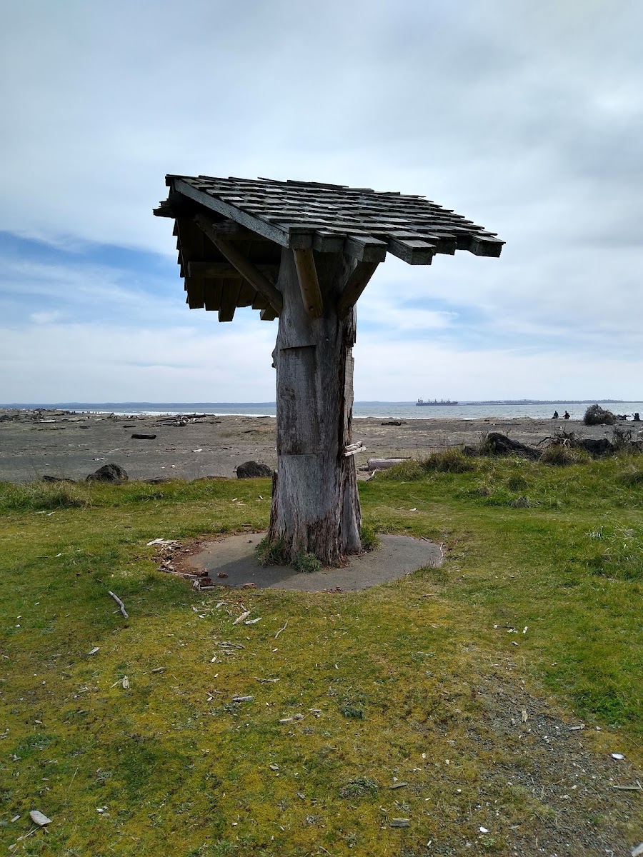 Quinault Marina & RV Park