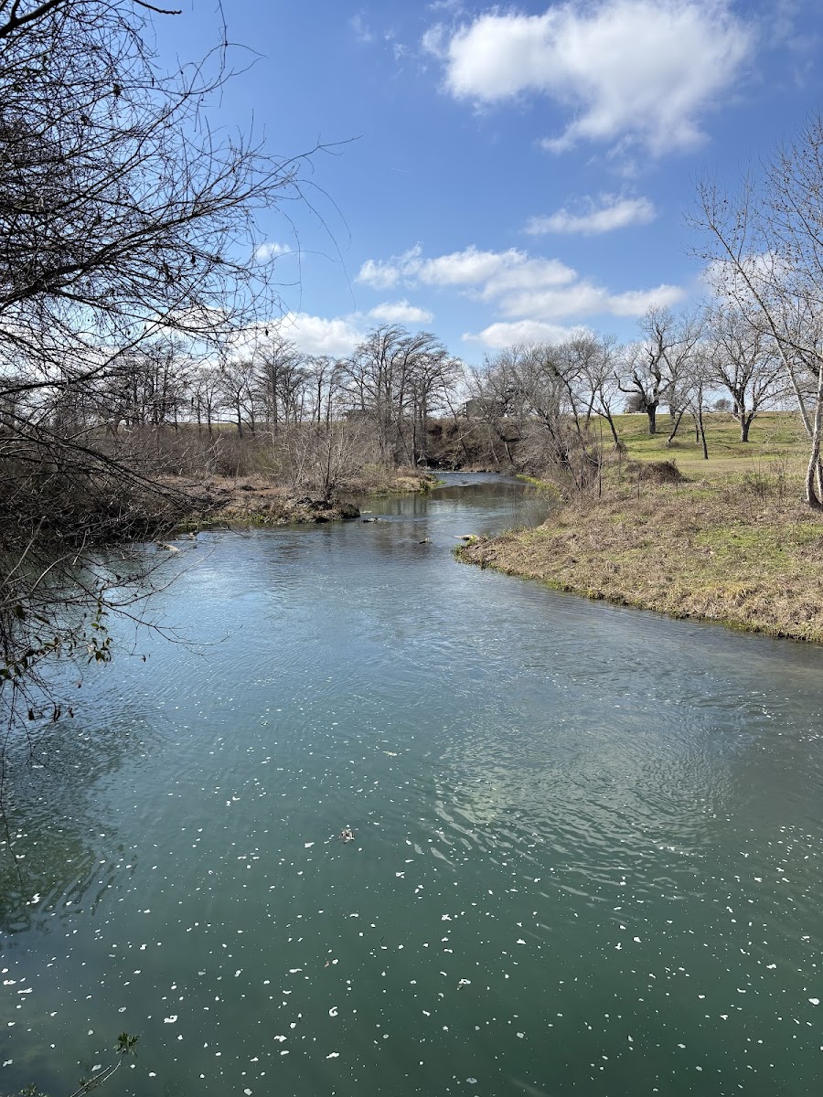 San Marcos River Campground