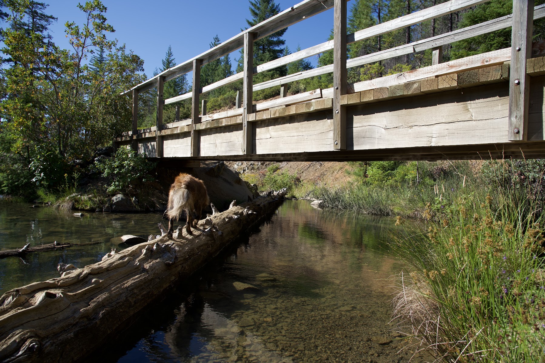 Spalding Pond Campground