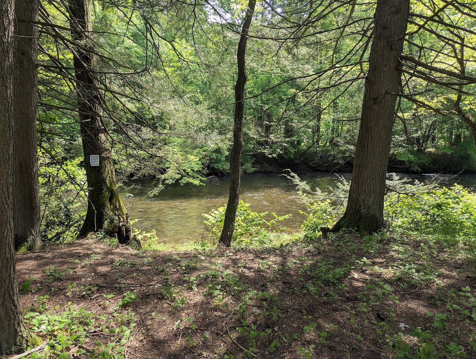 Creek Side RV Campsites