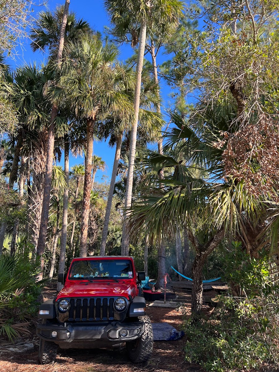 Wild Cow Primative Group Camp