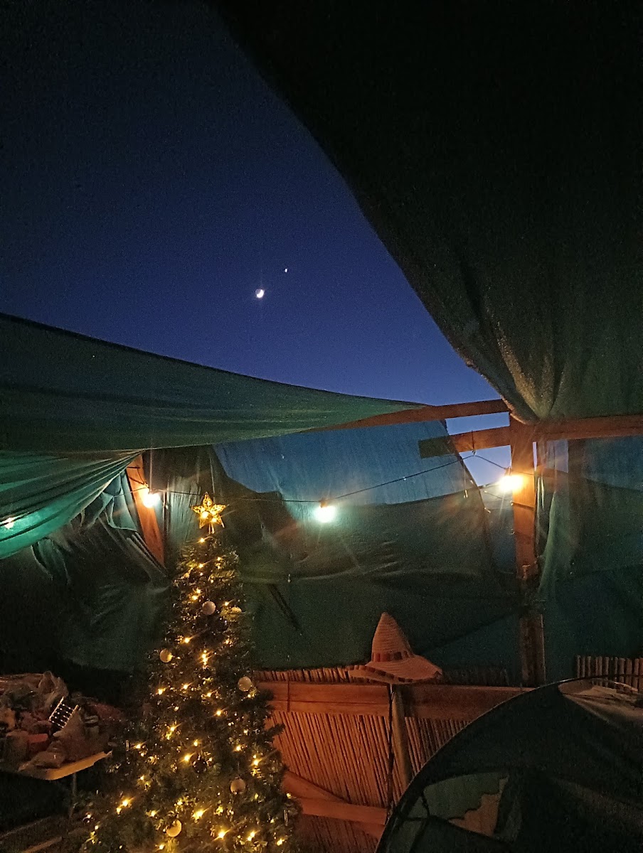 Camping place Joshua Tree