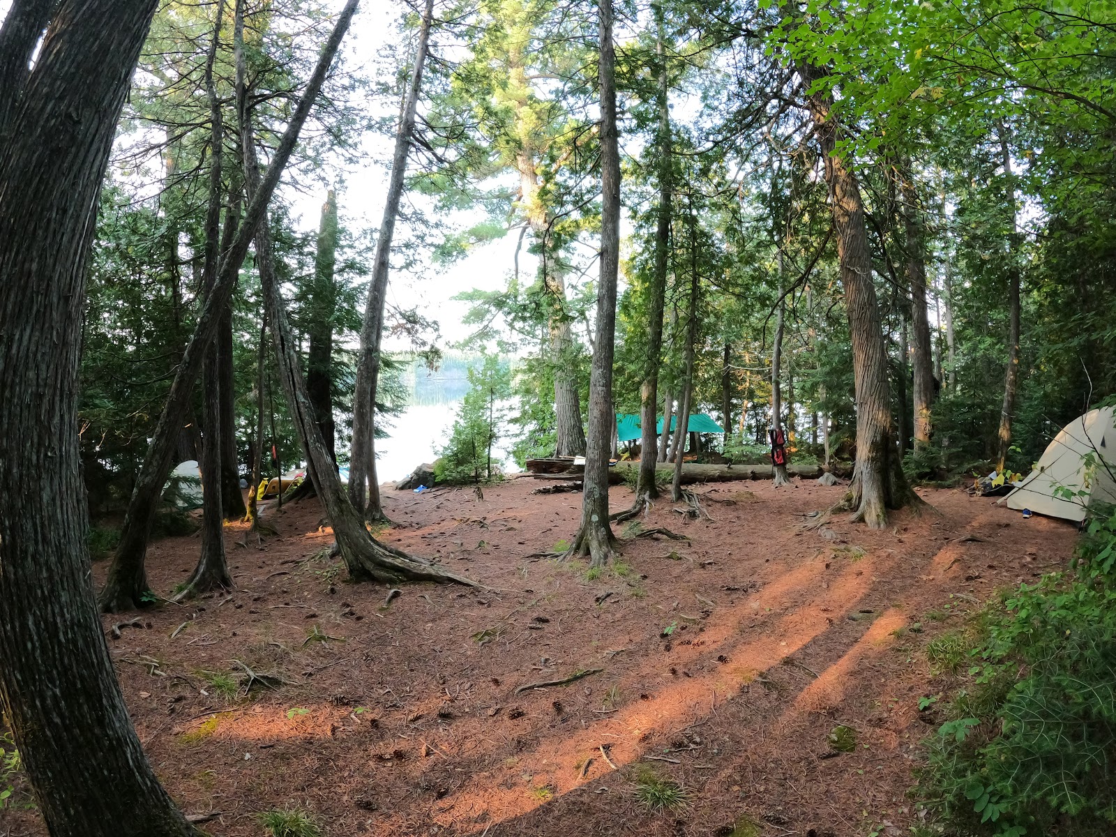 BWCA Campsite #881
